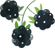 Custom Category Image