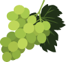Custom Category Image