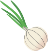Custom Category Image