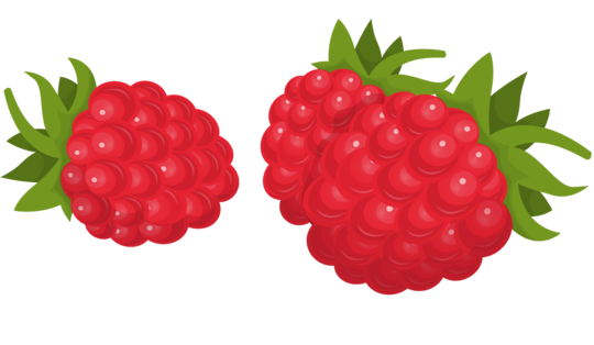 Custom Category Image