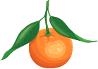 Custom Category Image