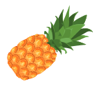 Custom Category Image