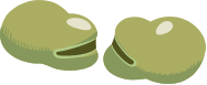 Custom Category Image