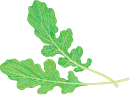Custom Category Image