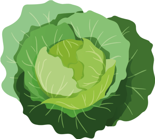 Custom Category Image